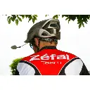 z-eye (2).webp