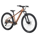 Scott Roxter 600 26"
