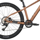 Scott Roxter 600 26"