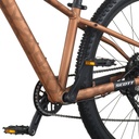 Scott Roxter 600 26"
