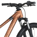Scott Roxter 600 26"