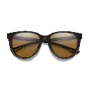 seeker-sunglasses_akMatteForestTortoise-cpPolarizedBrown_FF.webp