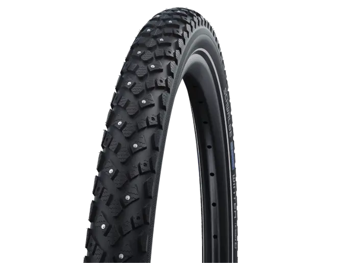 Schwalbe Winter Nastarengas