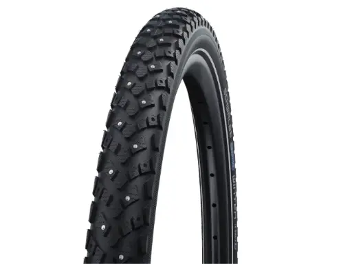 Schwalbe Winter Nastarengas