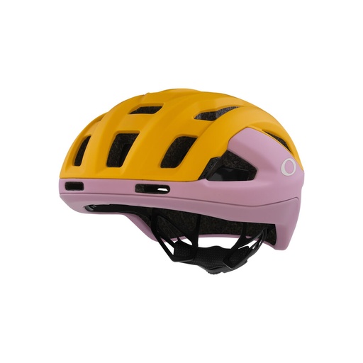 Oakley ARO3 Endurance MIPS